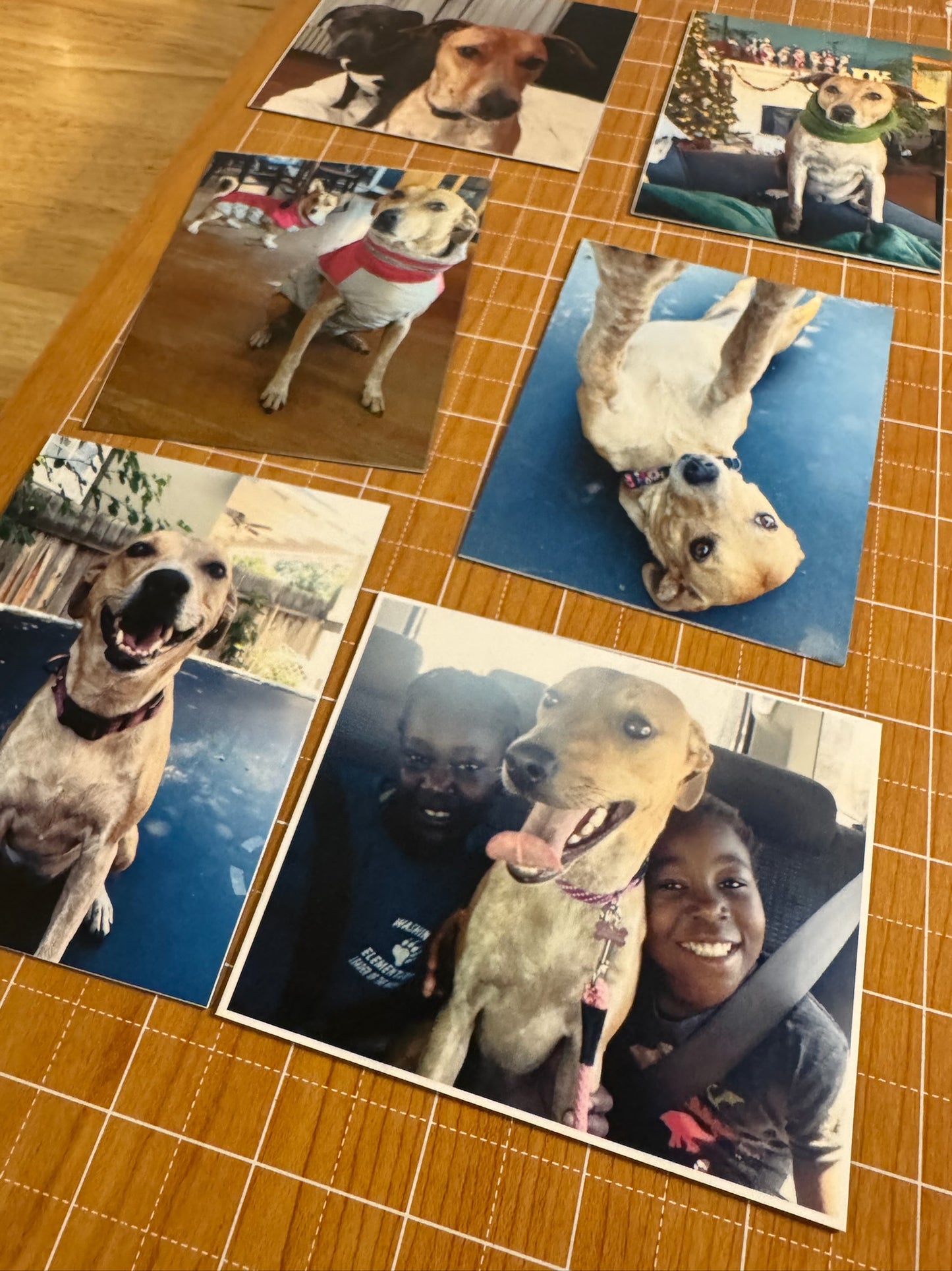 Custom Photo Magnets Large - 6