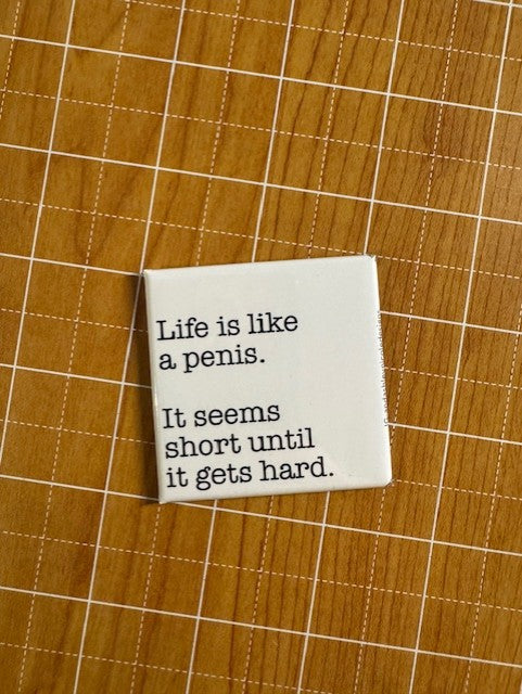 Life is Like a Penis Button Magnet