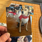 Custom Photo Magnets Large - 6